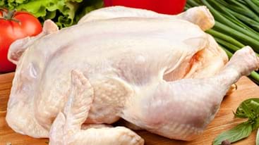 Ayam Kampung vs Ayam Boiler