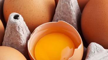 Tips dan Trik agar Kualitas Telur Tetap Terjaga